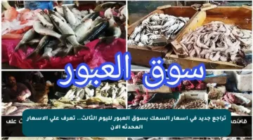 تراجع جديد في أسعار السمك بسوق العبور لليوم الثالث.. تعرف على الأسعار المحدثة الآن